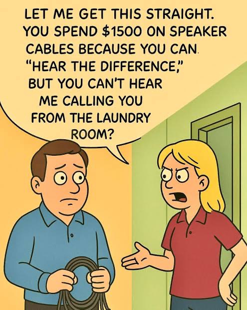Audiophile buzzword bingo